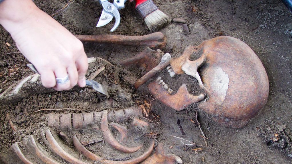 Mittelalterliches Skelett aus Glambeck